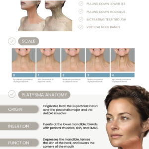 Nefertiti PDF