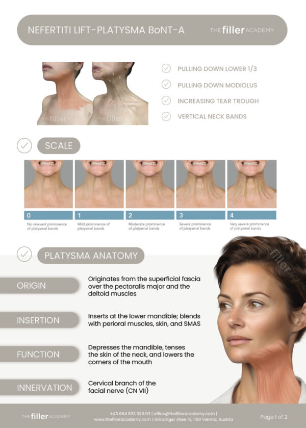 Nefertiti PDF